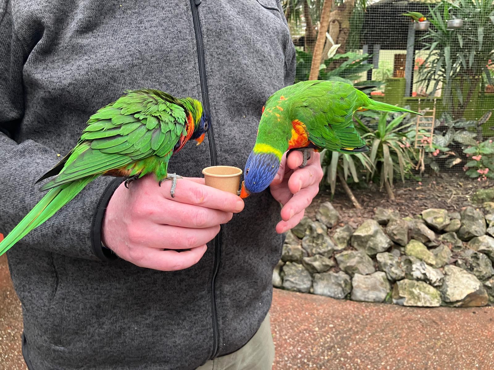 Foto 24 bij artikel "Uitje naar de Orchideenhoeve in Luttelgeest".